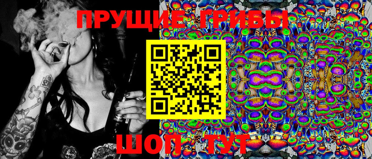 Псилоцибиновые грибы GOLDEN TEACHER  Вход с VPN  Галлюциногенные грибы GOLDEN TEACHER  Электросталь 